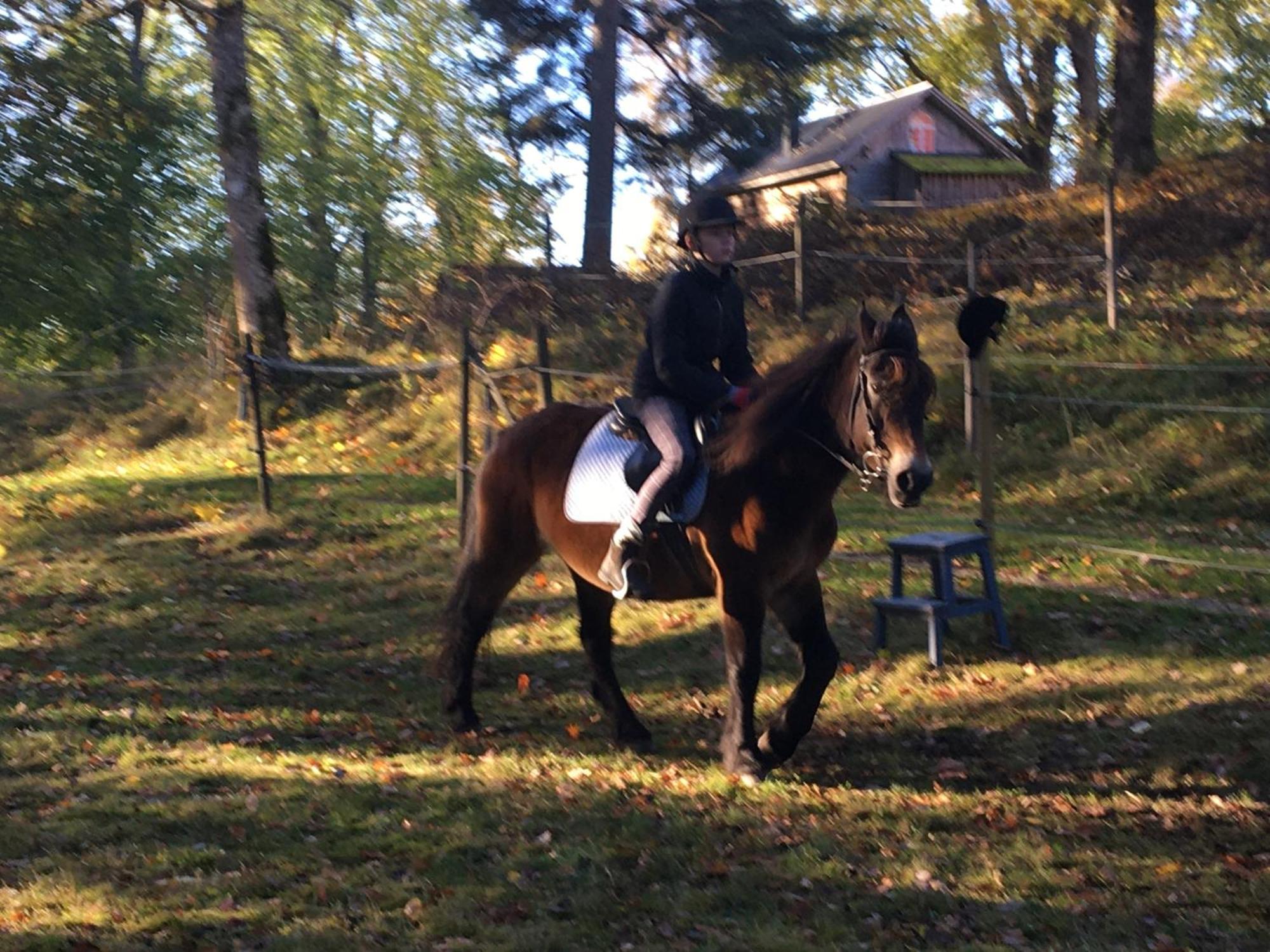 Henneviken Bnb Ed Екстер'єр фото